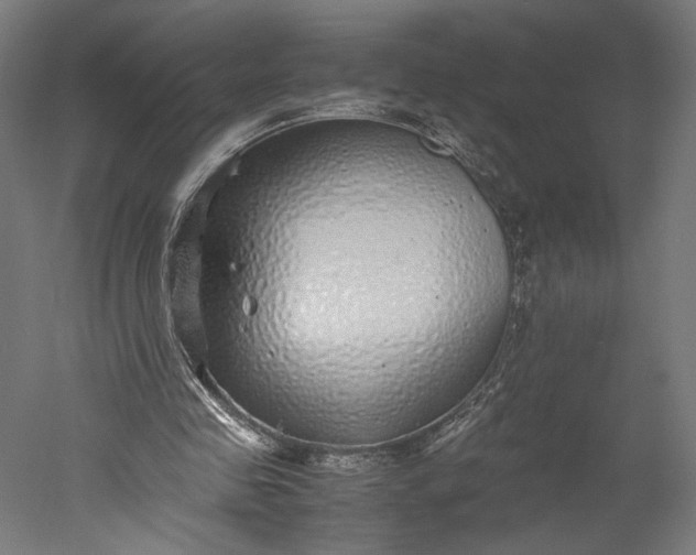 X0000051250341200507011658