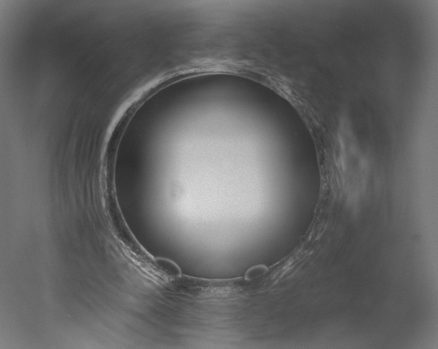 X0000051250342200507011658