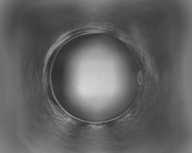 X0000051250343200507011658