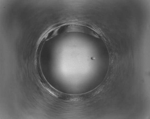 X0000051250344200507011658