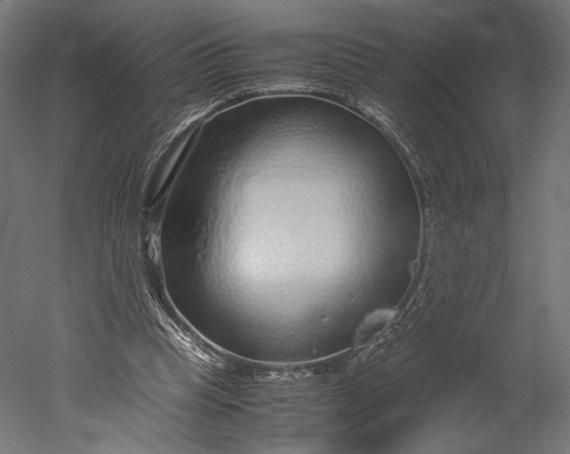 X0000051250345200507011658