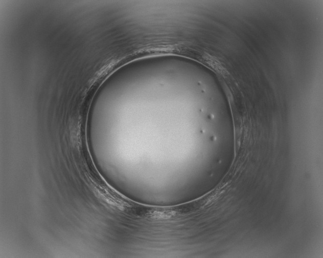 X0000051250346200507011658