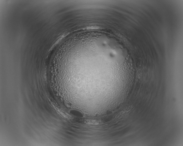 X0000051250347200507011658