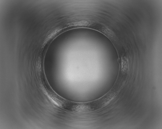 X0000051250348200507011658