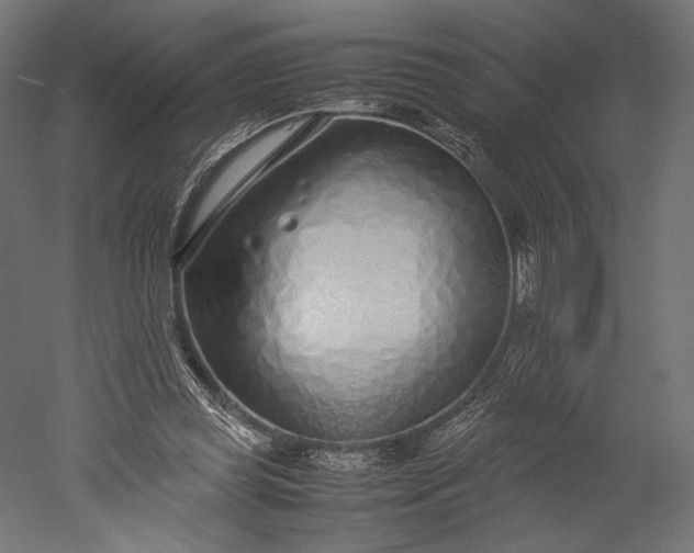 X0000051250349200507011658