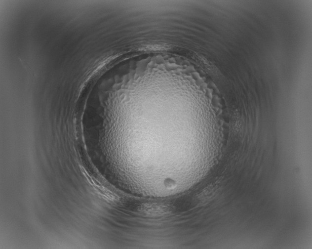 X0000051250351200507011658