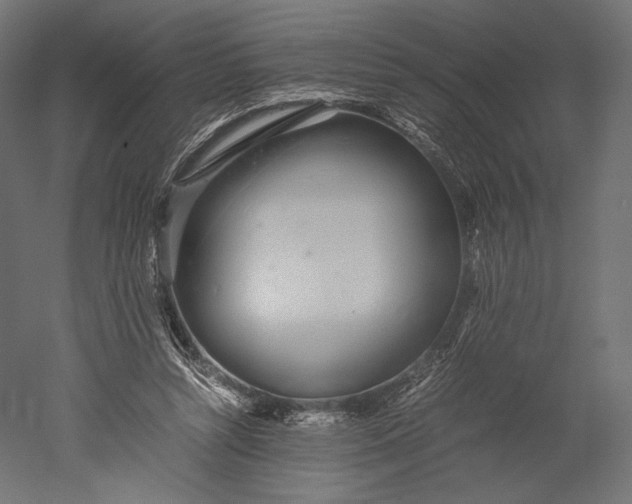 X0000051250352200507011658