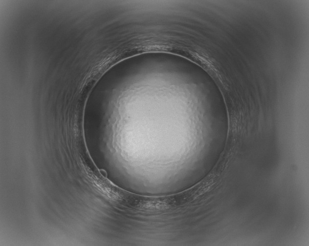 X0000051250353200507011658