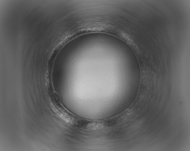 X0000051250354200507011658