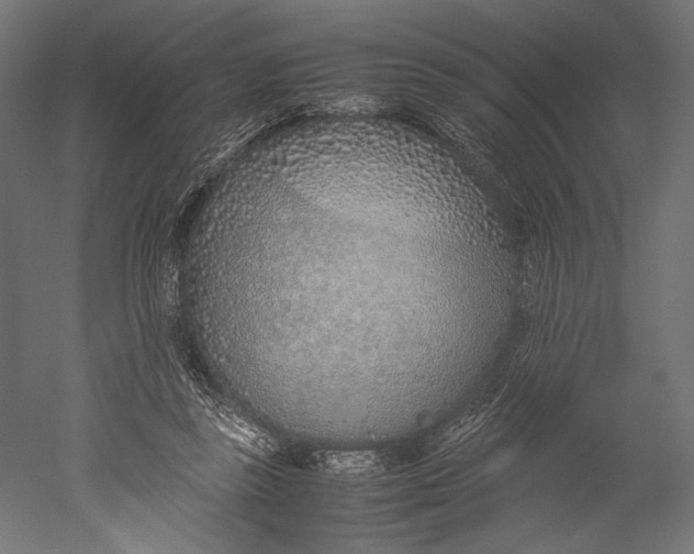 X0000051250355200507011658