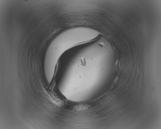 X0000051250356200507011658