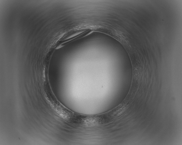 X0000051250358200507011658