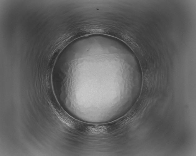 X0000051250359200507011658