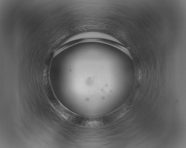 X0000051250360200507011658