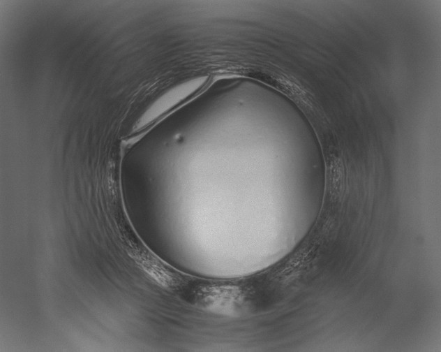 X0000051250361200507011658