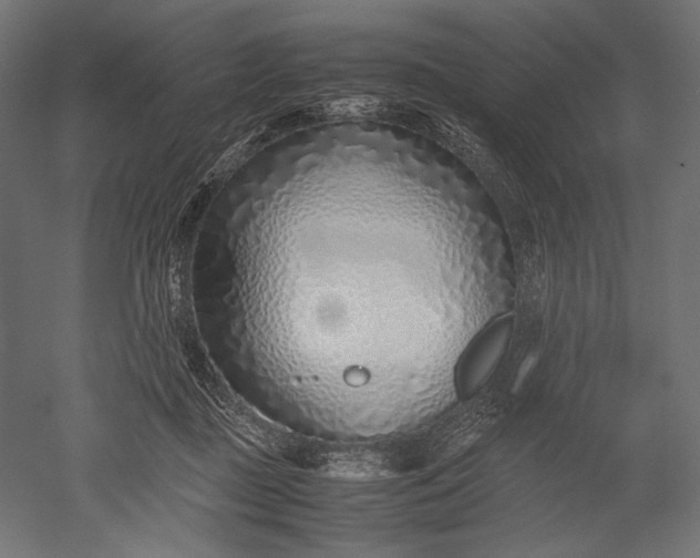 X0000051250363200507011658