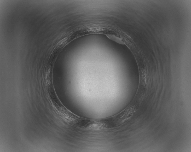 X0000051250364200507011658