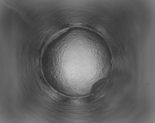 X0000051250365200507011658