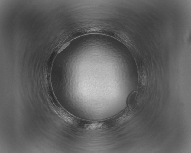 X0000051250366200507011658