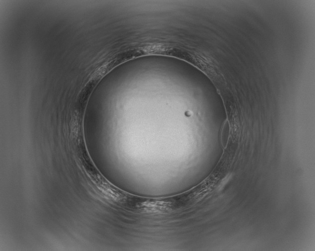 X0000051250367200507011658