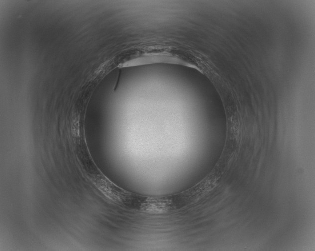 X0000051250368200507011658