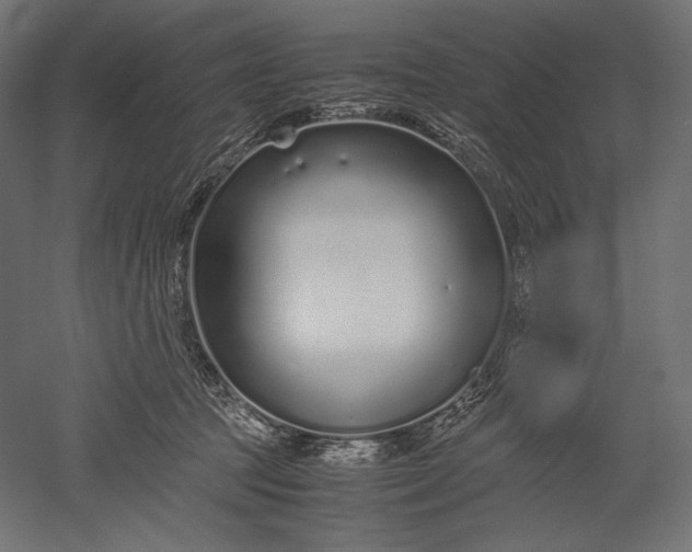 X0000051250369200507011658