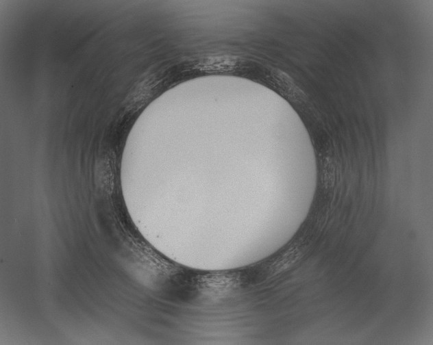 X0000051250370200507011658