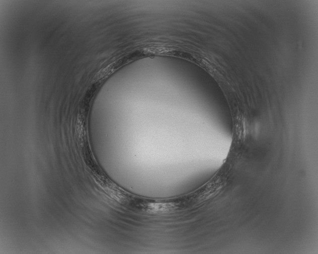 X0000051250371200507011658