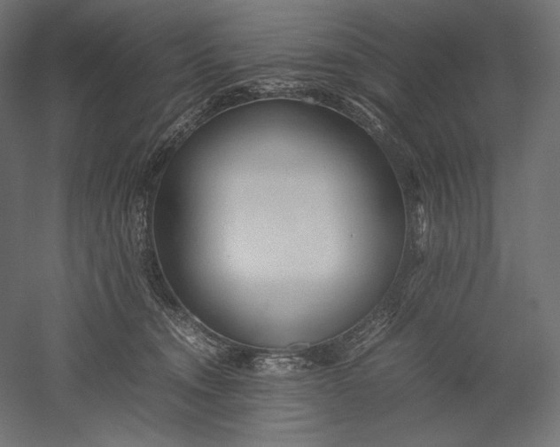 X0000051250372200507011658