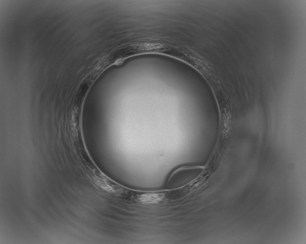 X0000051250373200507011658