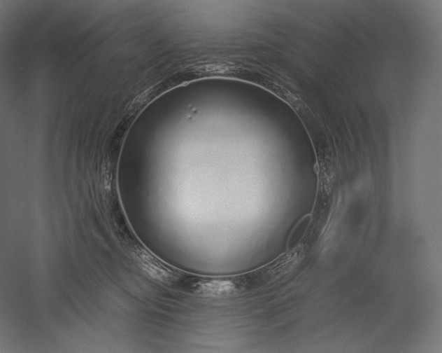 X0000051250374200507011658