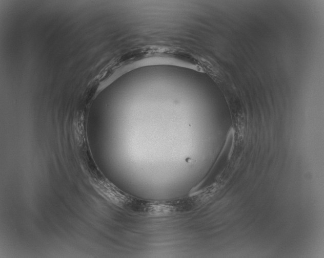 X0000051250376200507011658