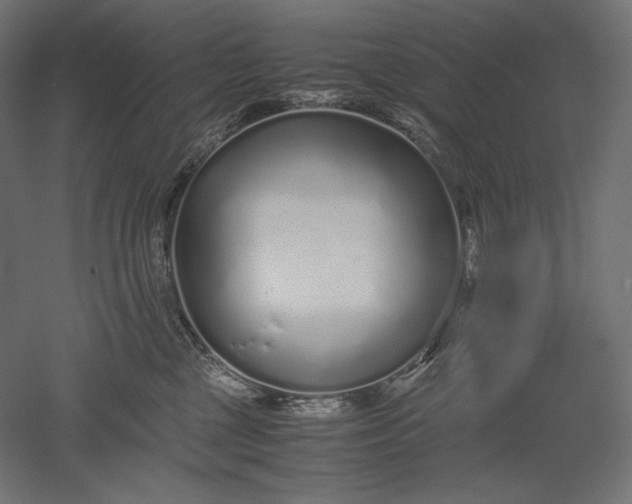 X0000051250377200507011658