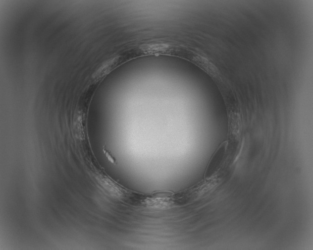 X0000051250378200507011658