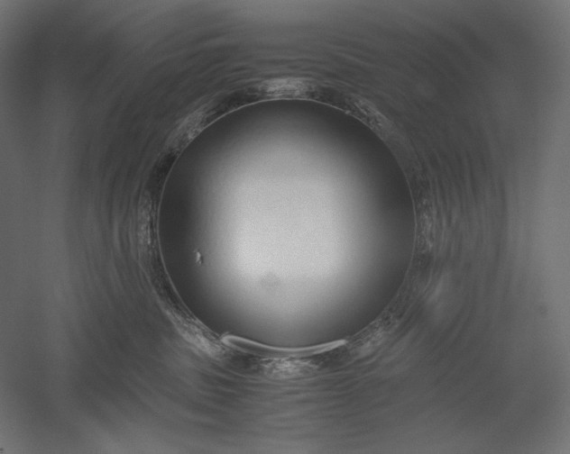 X0000051250379200507011658