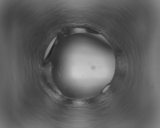 X0000051250380200507011659