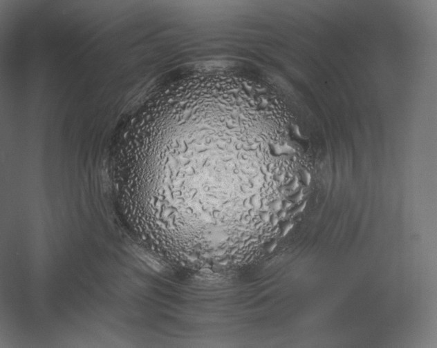 X0000051250381200507011659