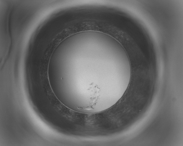 X0000051250382200507011659