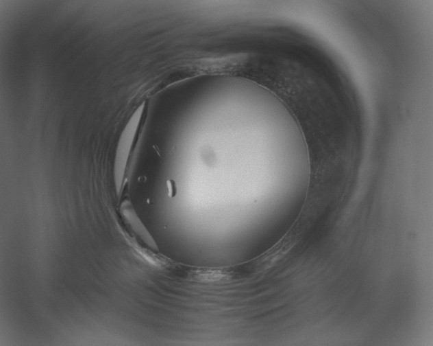 X0000051250383200507011659