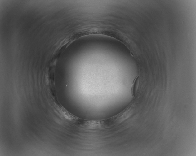 X0000051250384200507011659