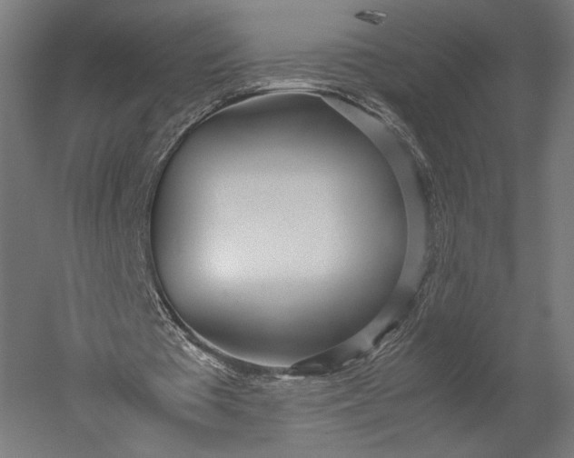 X0000051250385200507011658