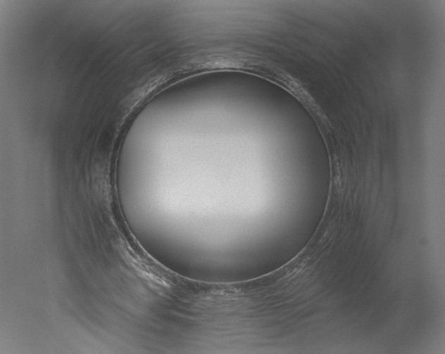 X0000051250386200507011658