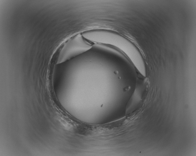 X0000051250387200507011658