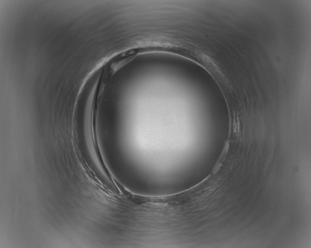 X0000051250388200507011658