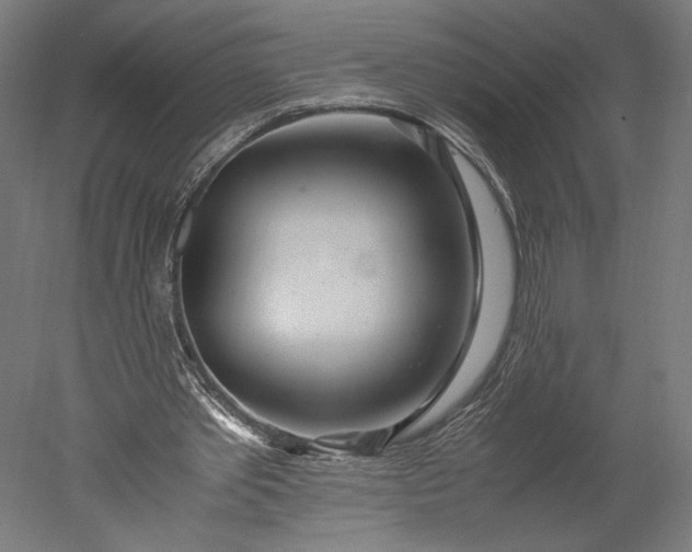 X0000051250389200507011658