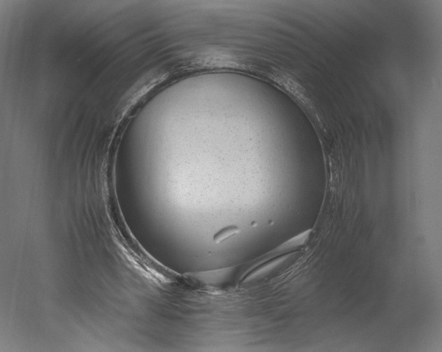 X0000051250390200507011658