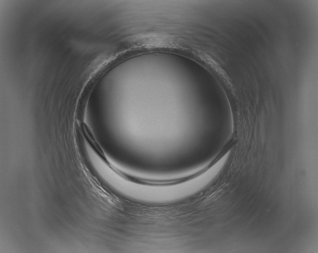 X0000051250391200507011658