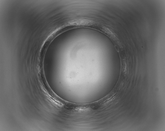 X0000051250392200507011658