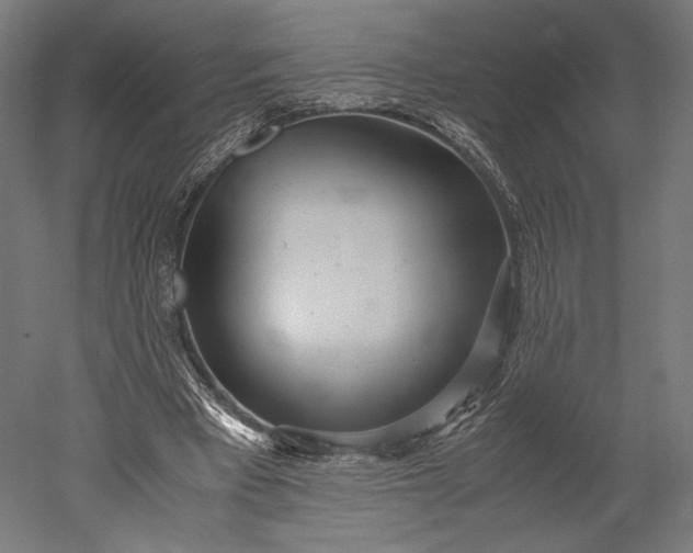 X0000051250393200507011658