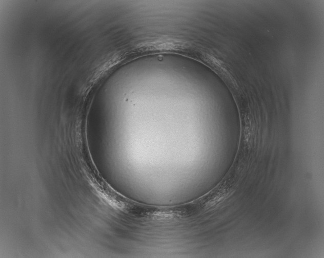 X0000051250394200507011658